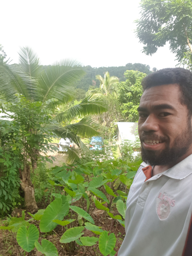 Paula Waqa  showing their dalo farm