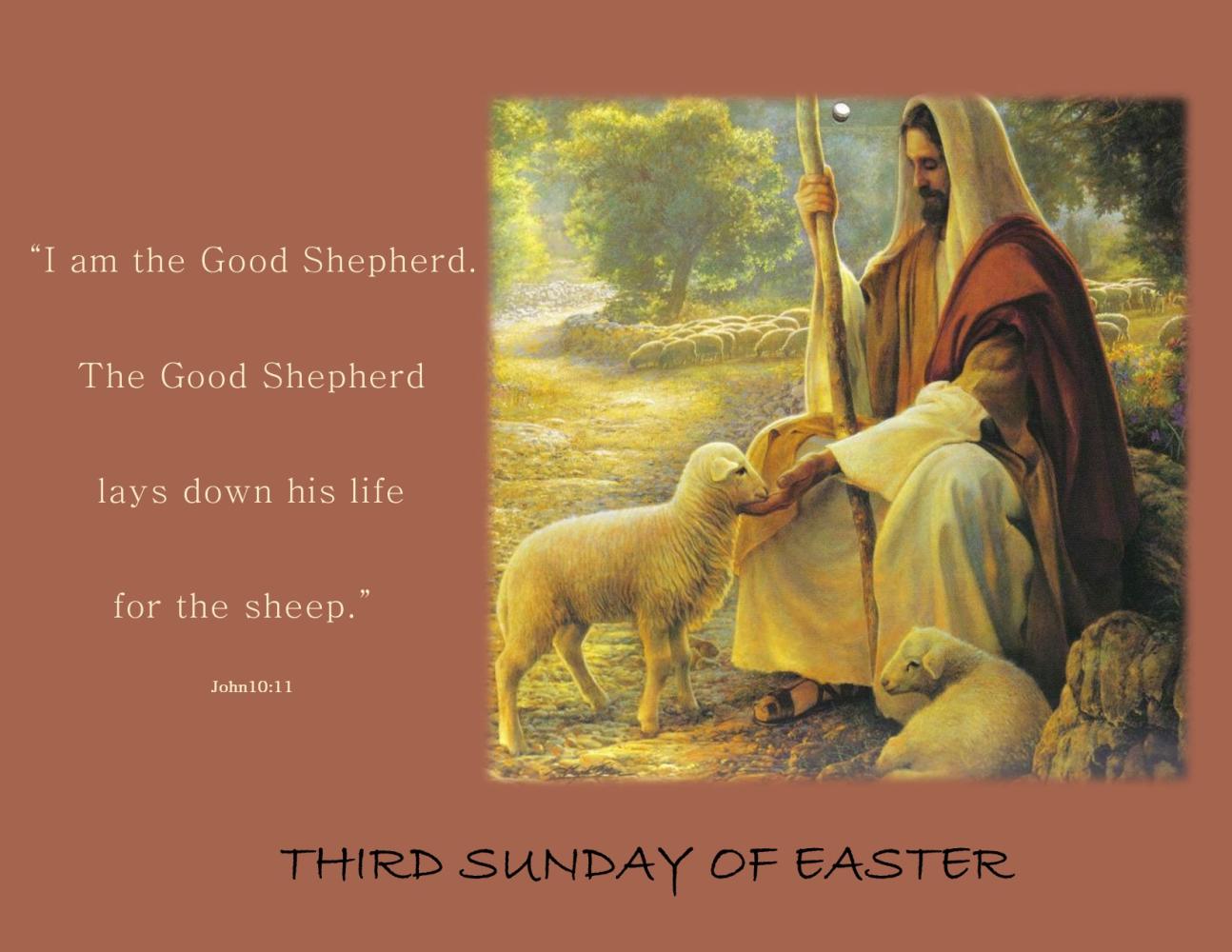 Working with the Good Shepherd