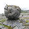 Linking Ecology and Religion