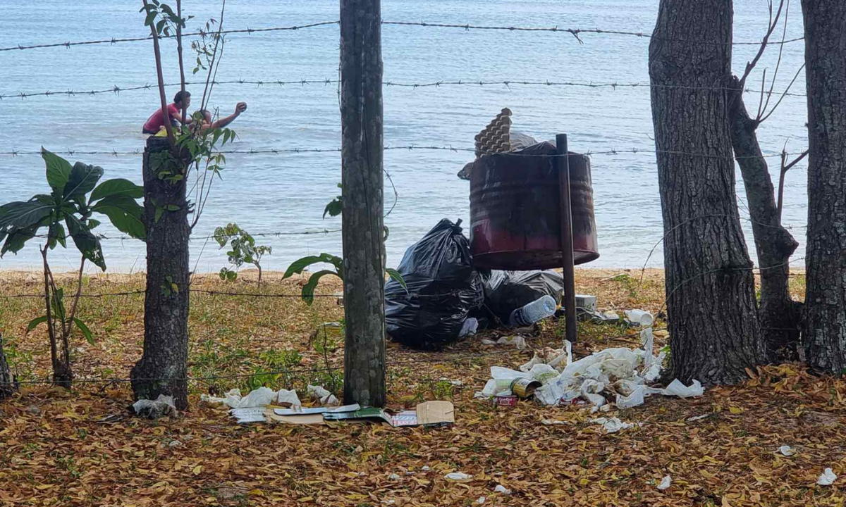 A sad reminder of disregard for environment. Photo: Margie Muller