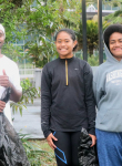 Small Actions, Lasting Impact: A Day of Care for Creation at Nasese