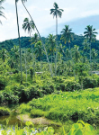 The Earth is Our Common Home