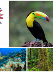 Columban Missionaries Message on the United Nations Biodiversity COP 16
