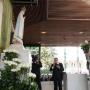 Pope Francis Consecrates Russia and Ukraine to the Immaculate Heart on Fri Mar 25