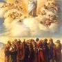 Friday of the Eleventh Week in Ordinary Time : Your Treasure and Your Heart