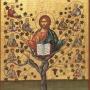 Wednesday of the Fifth Week of Easter : Being Pruned