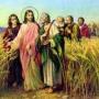 Tuesday of the Second Week in Ordinary Time