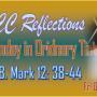 32nd Sunday in Ordinary Time