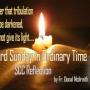 33rd  Sunday in Ordinary Time