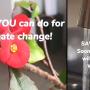 IRD ministry weekly report - Save our environment