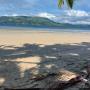 Protecting our Paradise - JPIC Report