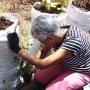 Recycled Garden Pot Plants