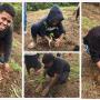 A Mission to Heal: Fiji’s Fight Against Plastic Pollution