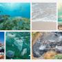 IRD Event - Save our Ocean/Environment