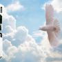 Columban Pentecost -  Bishop Galvin, Fr Blowick