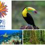 Columban Missionaries Message on the United Nations Biodiversity COP 16