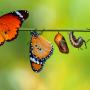 Interreligious Dialogue Ministry - The story of Creation