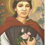 St Rose of Lima Celebrated on August 23rd