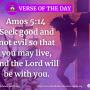 Verse of the Day
