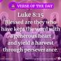 Verse of the Day